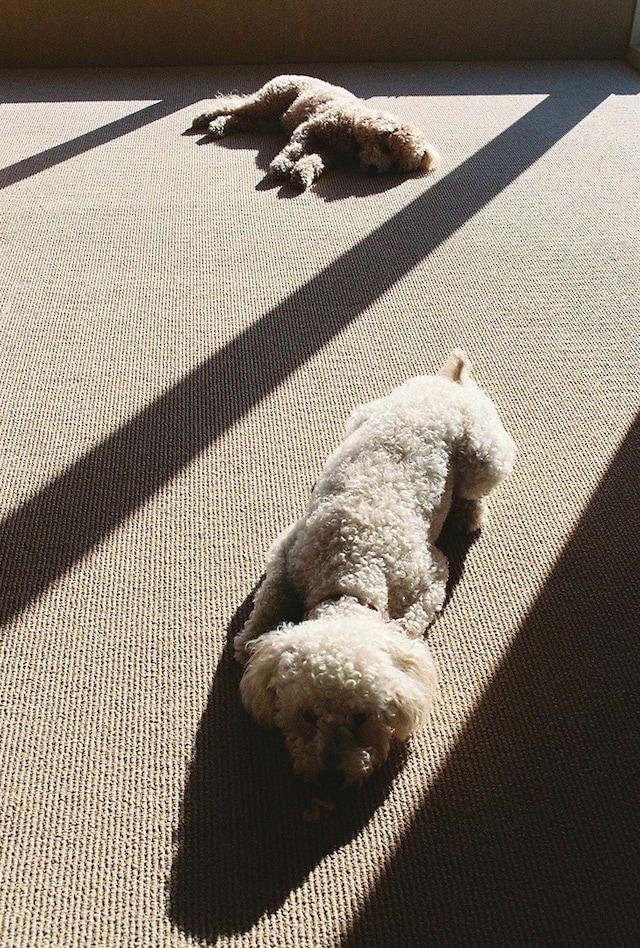 COS and Petra Collins&#39; film Drive Time, BTS 6