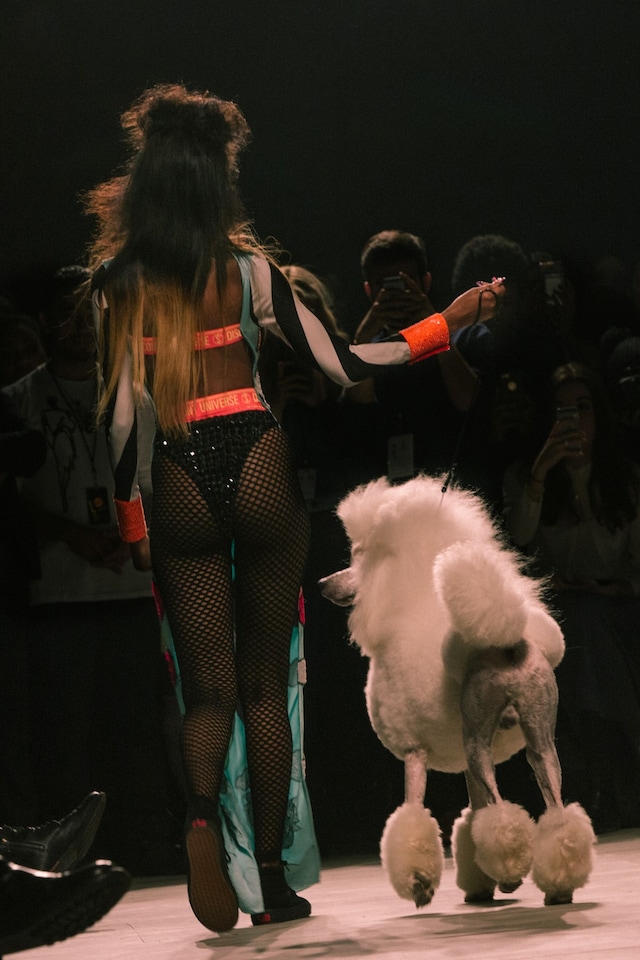 VFiles: DI$COUNT UNIVER$E AW15 poodle 20
