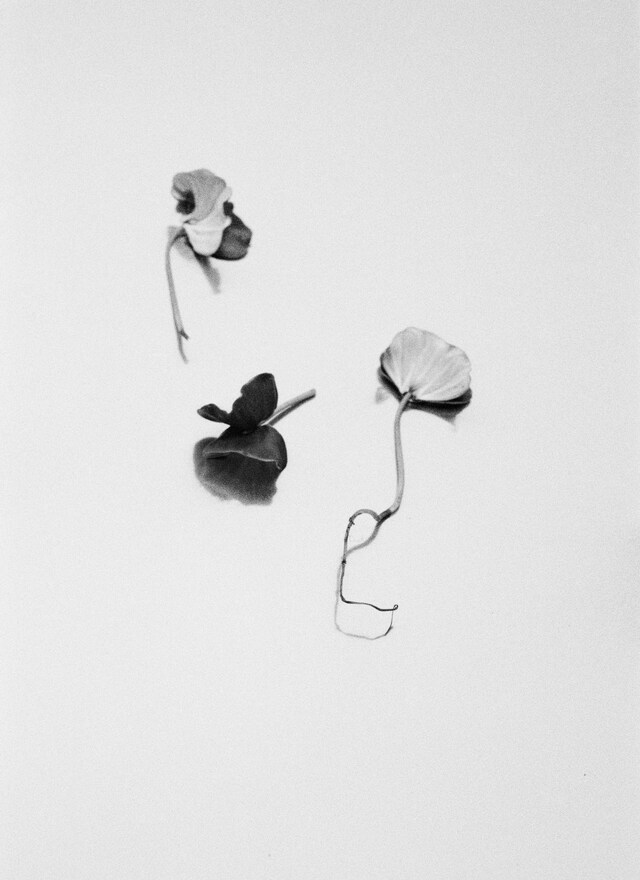 Benjamin Huseby – Weeds &amp; Aliens 7