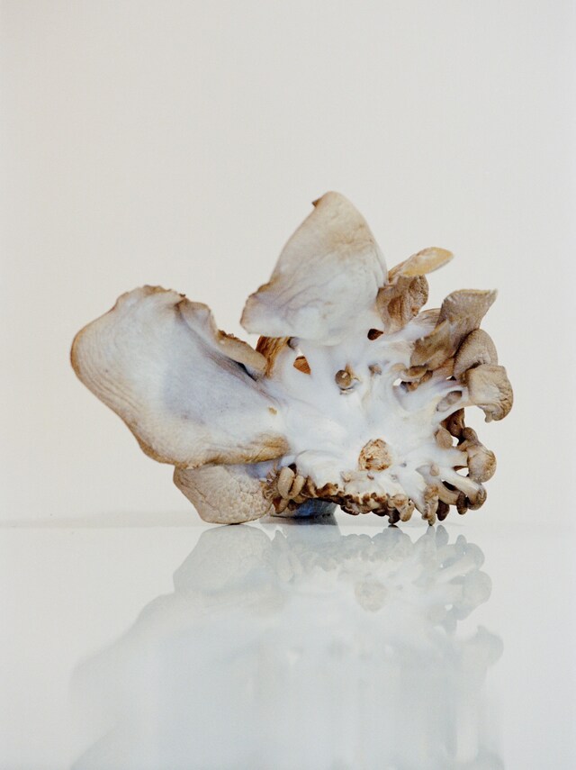 Benjamin Huseby – Weeds &amp; Aliens 8