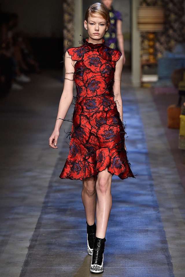 Erdem AW15, Evening Dress, Floral, Ostrich Feathers 3