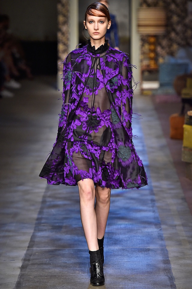 Erdem AW15, Evening Dress, Floral, Ostrich Feathers, Sheer 4
