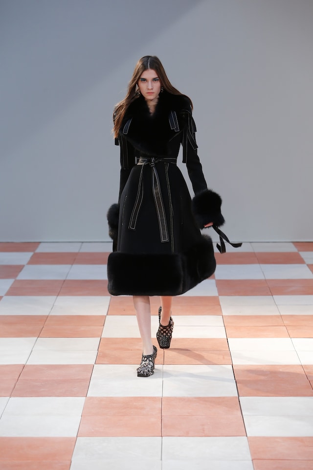 Celine FW15 Look 21 18