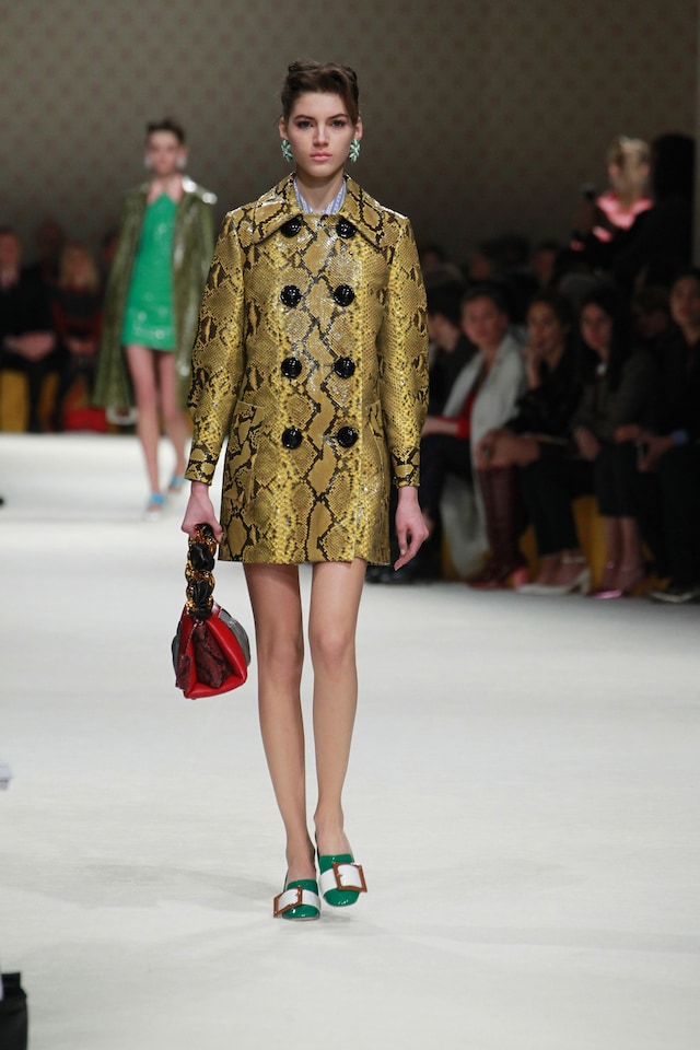 Miu Miu AW15 Dazed runway womenswear 17