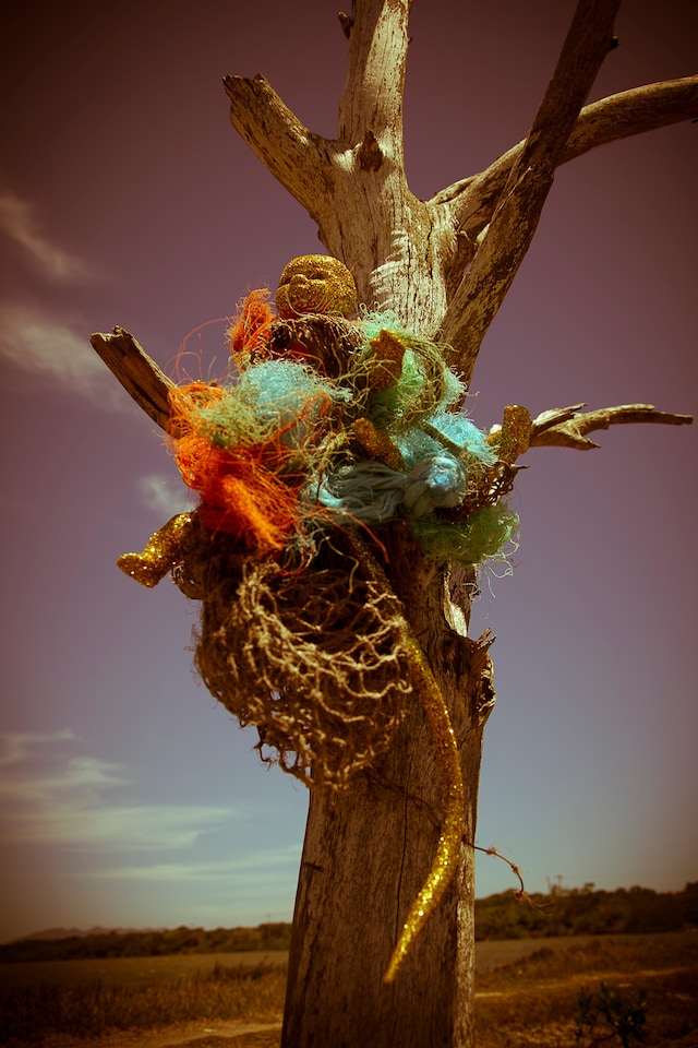 Noé Klabin Humanimals 15