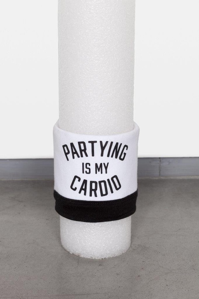 Arcangel_Cardio, 2015 3