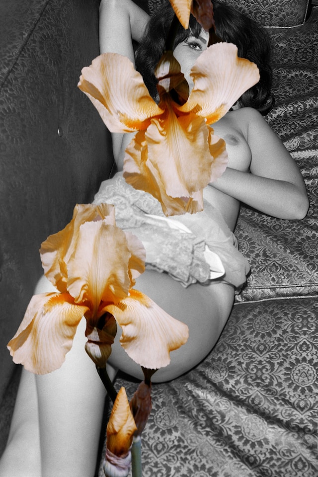 Linder Sterling, Corner House Publishing, Dazed 4