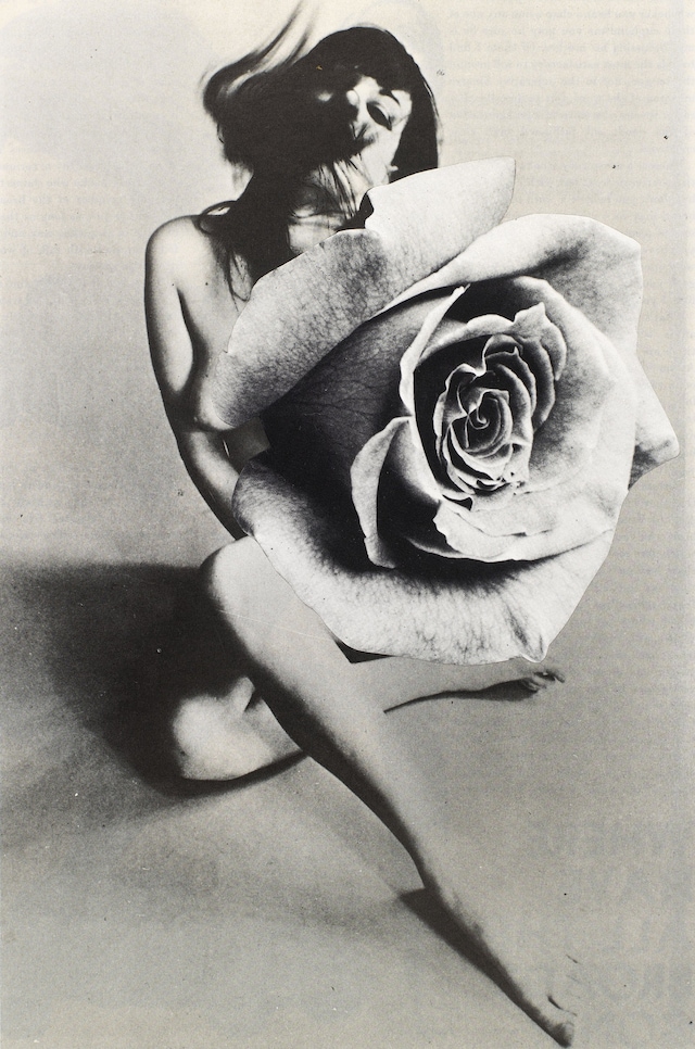 Linder Sterling, Corner House Publishing, Dazed 11