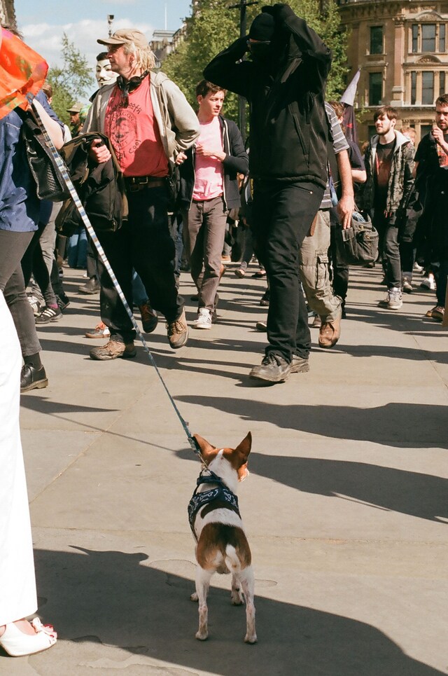 Anti-Tory protest 20