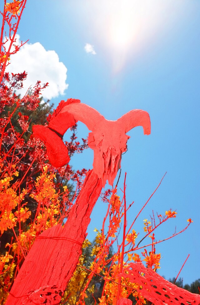 Justin Guthrie - The Spring CLeaning - 04 4