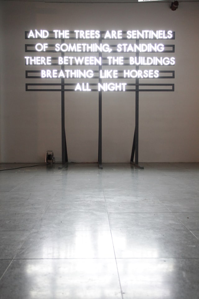 Rob Montgomery LA SCATOLA INSTALLATION BEST ONE 1 copy 8