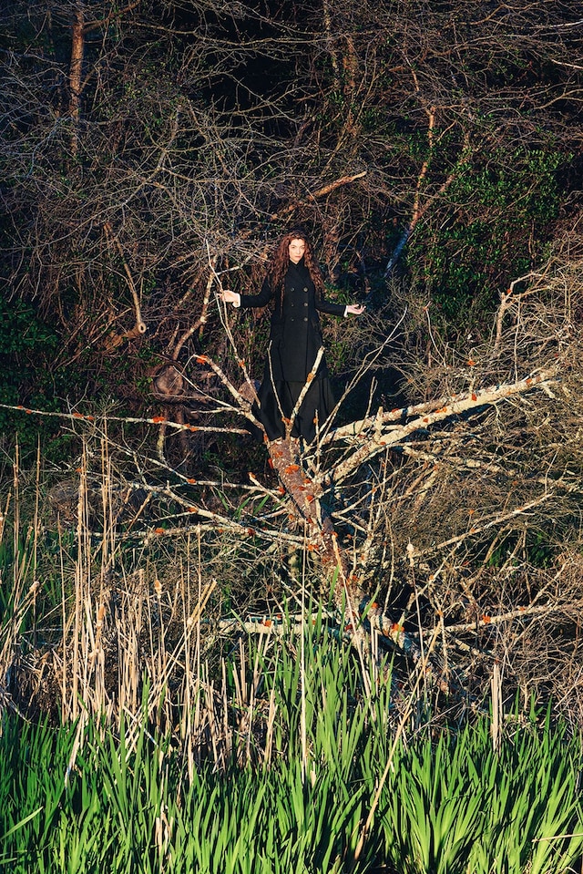 Lorde 10