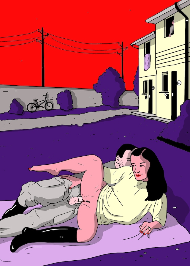 Illustration 9