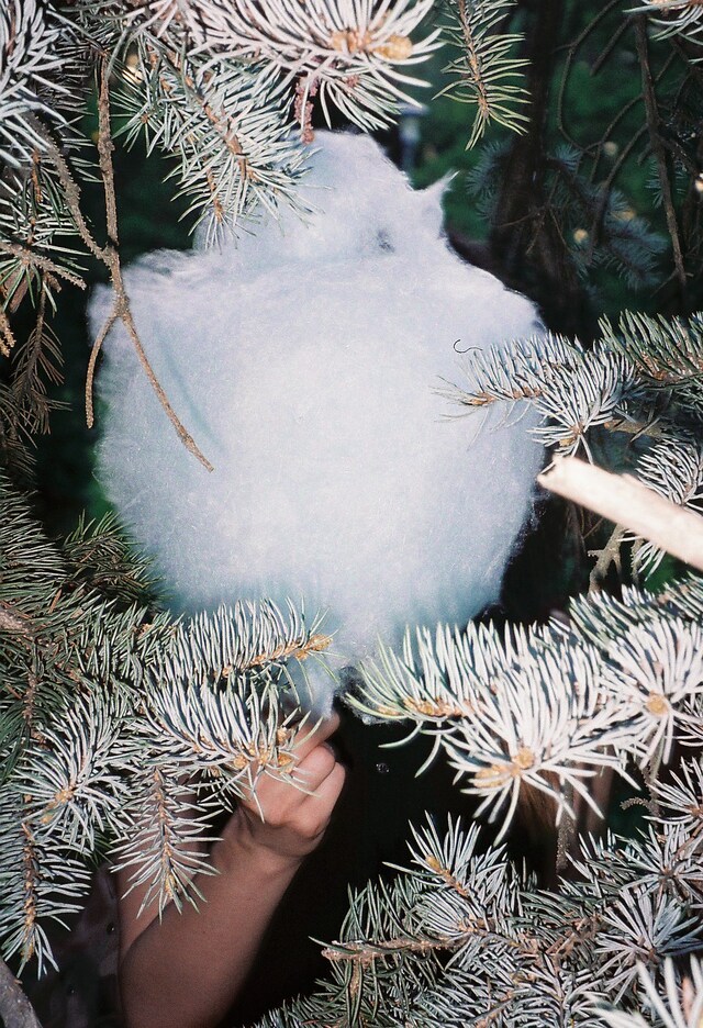 Mate Moro, photography series, Dazed 7