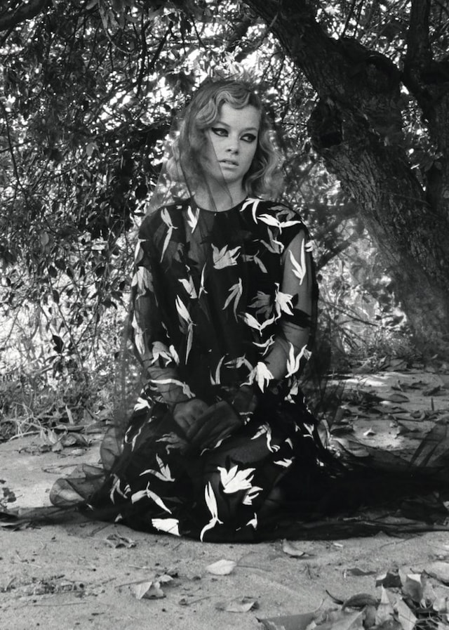 Jane Levy 6