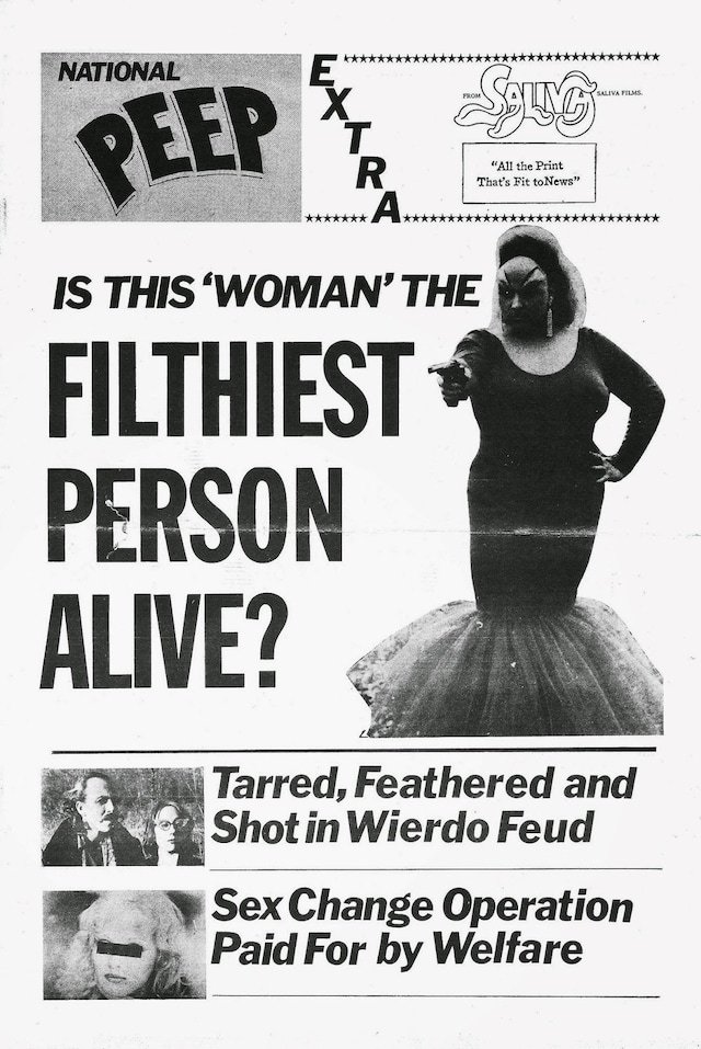 Style in John Waters’ Pink Flamingos (1972) 23