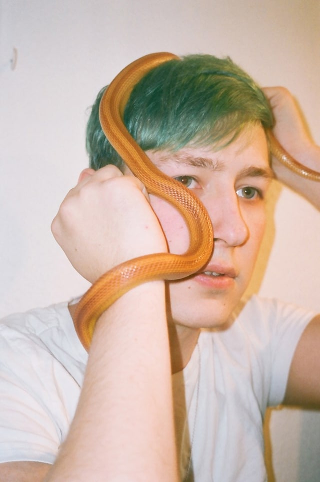 Fryd Frydendahl’s Salad Days 3