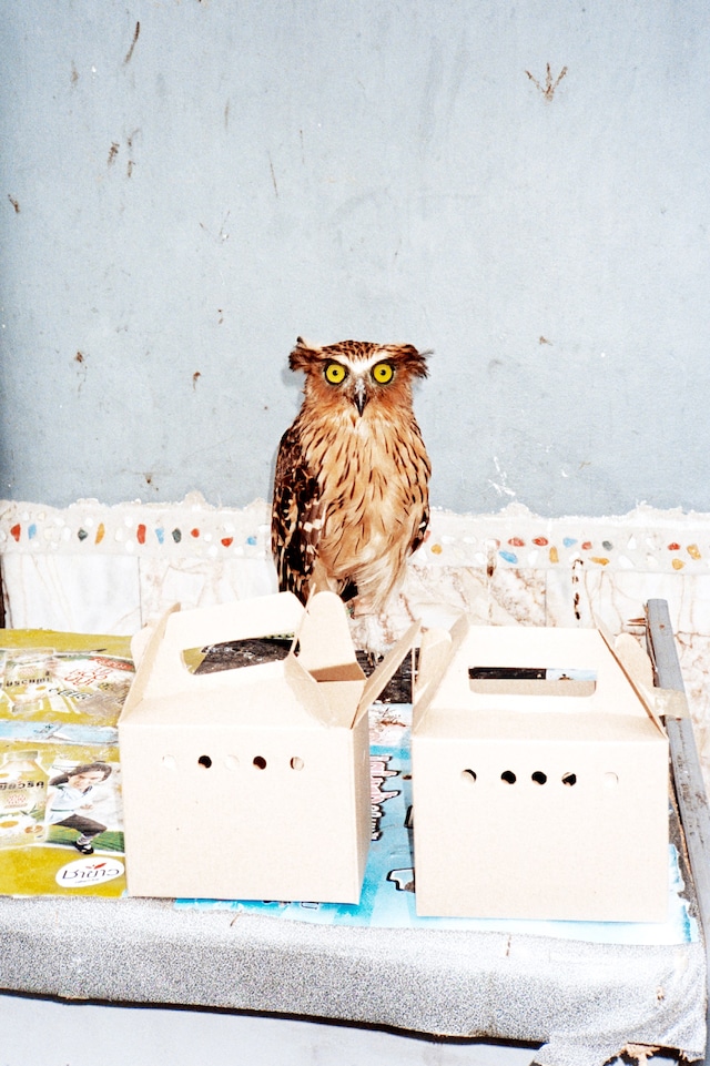 Peter Kaaden’s travel diary 21