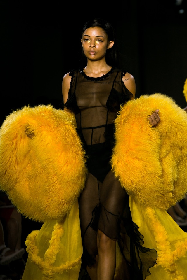 VFiles Made David Ferreira SS16 sheer glamour 3