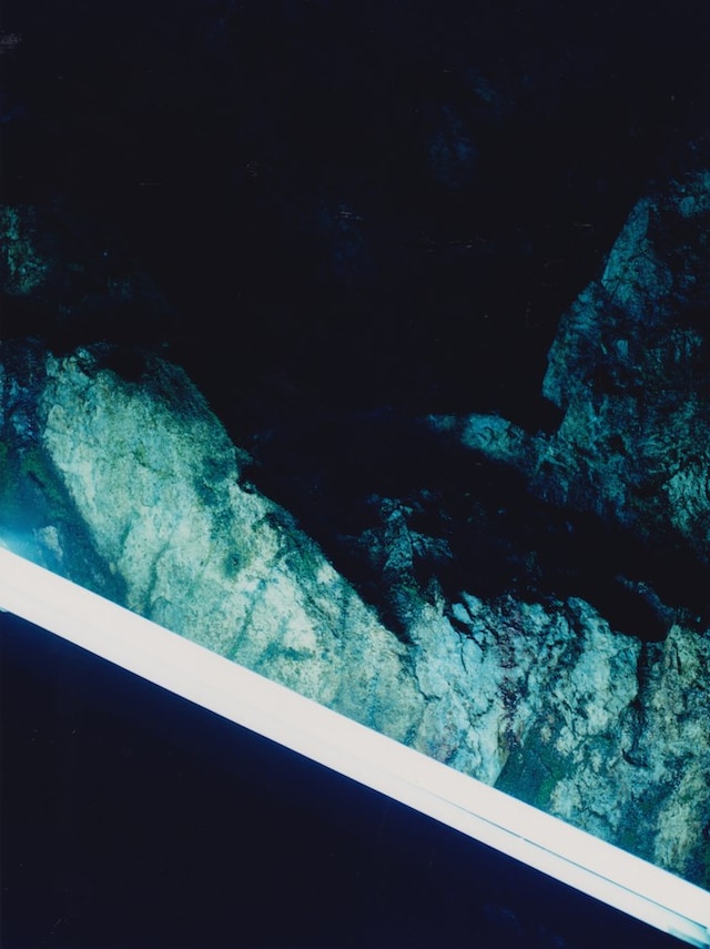 Mayumi Hosokura at Unseen Photo Fair 2015 1