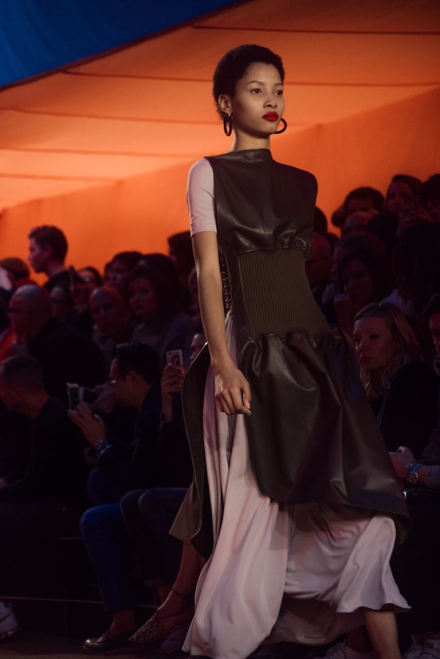 C&#233;line SS16 0