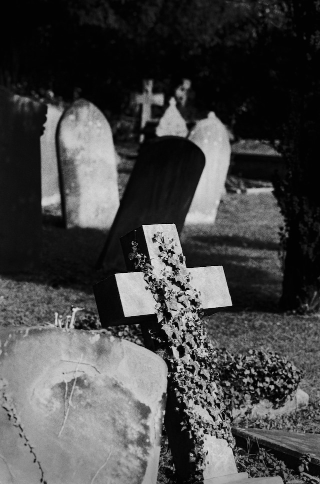 Paddy Summerfield’s Empty Days for PYLOT 3