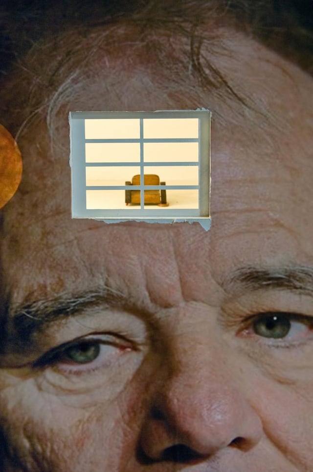 Bill Murray_Brian Griffiths_detail 0