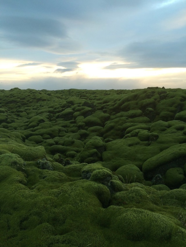 Bella Howard - Iceland 3