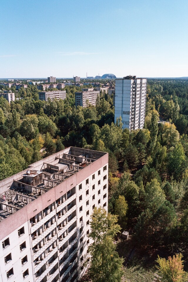 Ren&#233;e Lusano 10