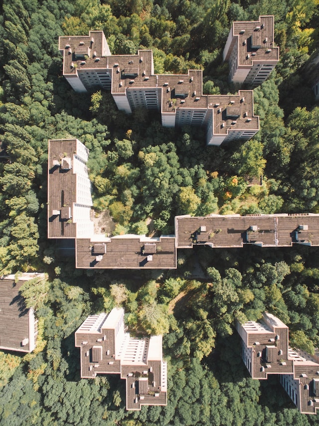 Ren&#233;e Lusano 19