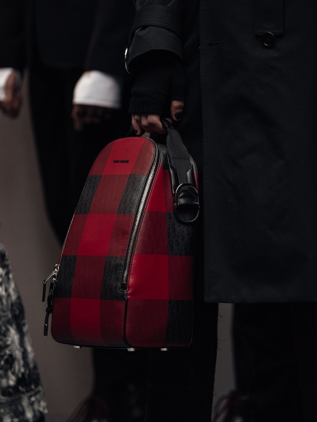 Dior Homme AW16 27