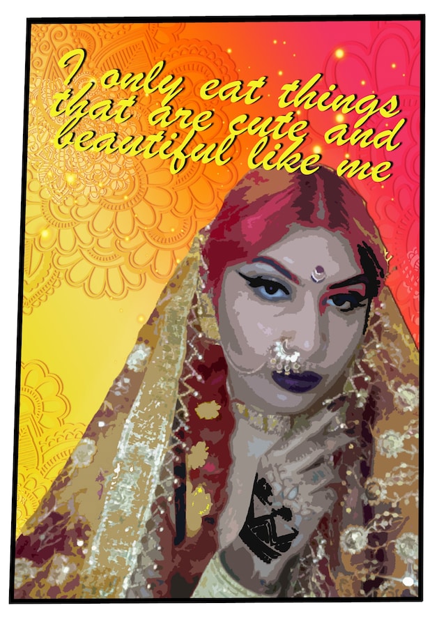Sanam Sindhi artwork by Liv Thurley Polyester zine 3