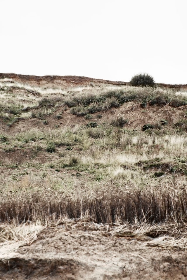 Craig Green campaign Amy Gwatkin Vincent Levy SS16 13