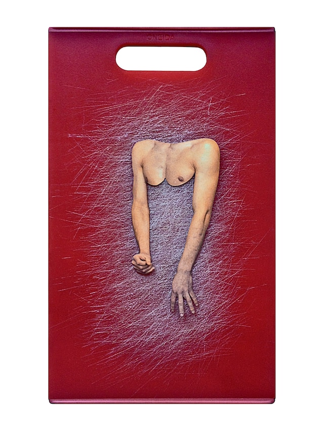 Slava Mogutin Red Meat 2015 20