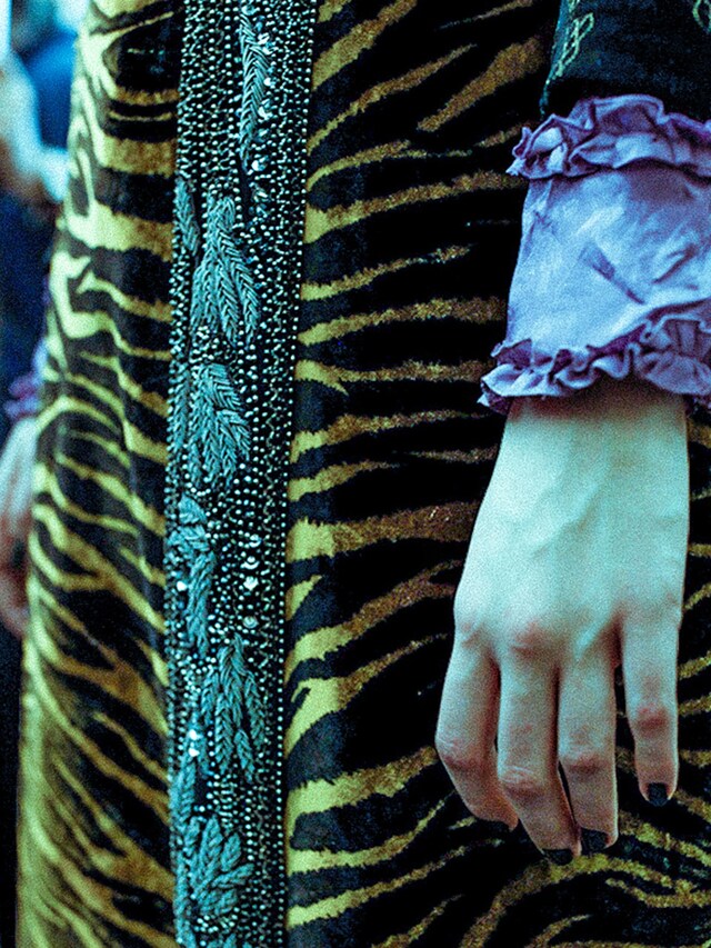 Roberto Cavalli AW16 17