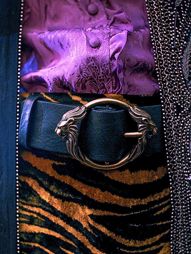 Roberto Cavalli AW16 14