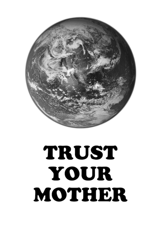 Vans D.I.Y.ourself 7