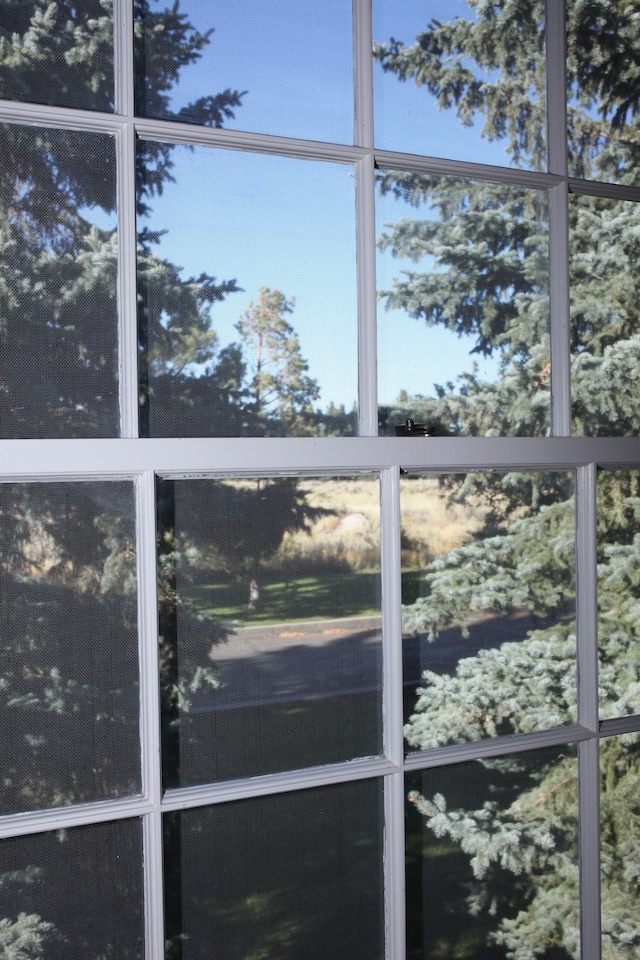  Live Wild *ANNAHAHOUTOFF_Americana4 5