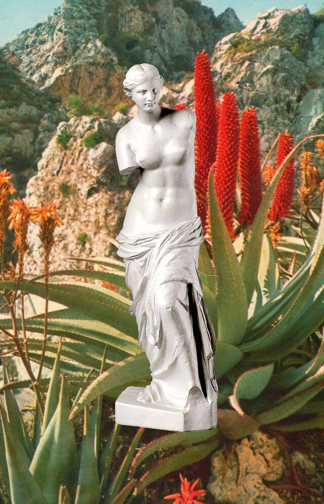  Live Wild *CHARLOTTEFOS_LatinStudies7 21