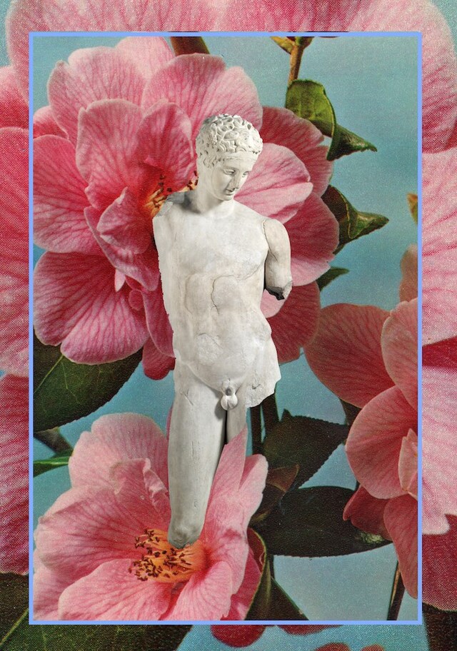  Live Wild CHARLOTTE FOS _LatinStudies1 2