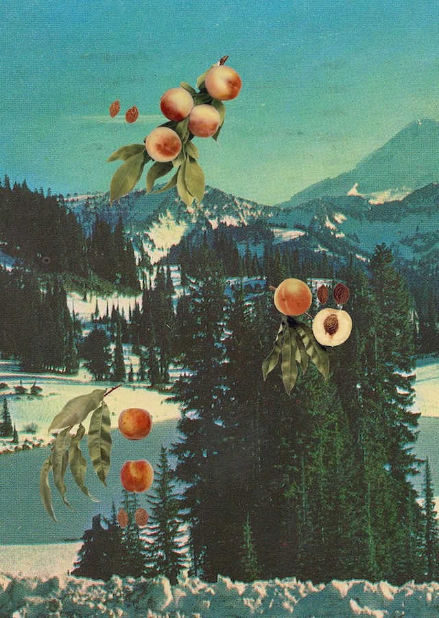  Live Wild *LUCIE KHAHOUTIAN_Pomegranate4 29