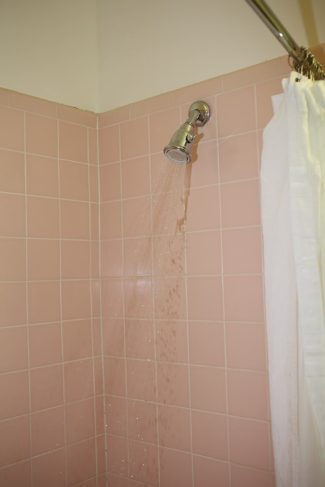  Live Wild *ANNAHAHOUTOFF_Americana6 7