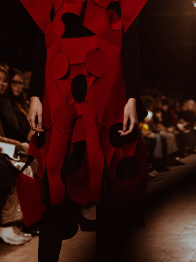 Junya Watanabe AW16 17