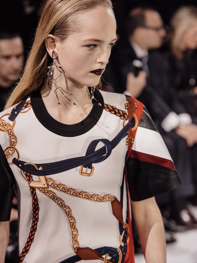 Louis Vuitton AW16 17