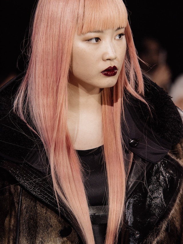 Louis Vuitton AW16 12