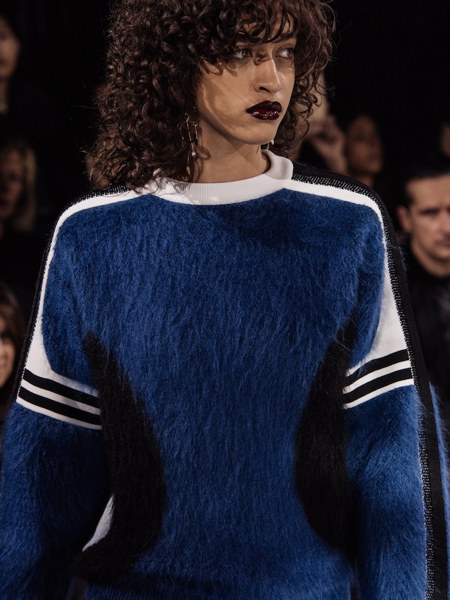 Louis Vuitton AW16 15