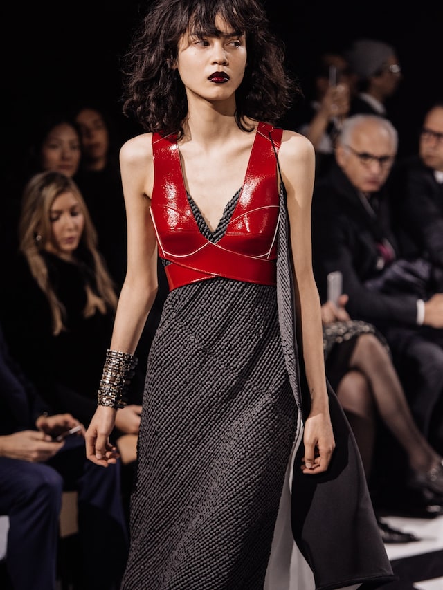 Louis Vuitton AW16 4