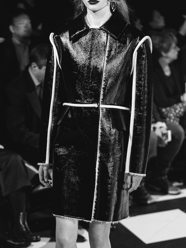 Louis Vuitton AW16 28