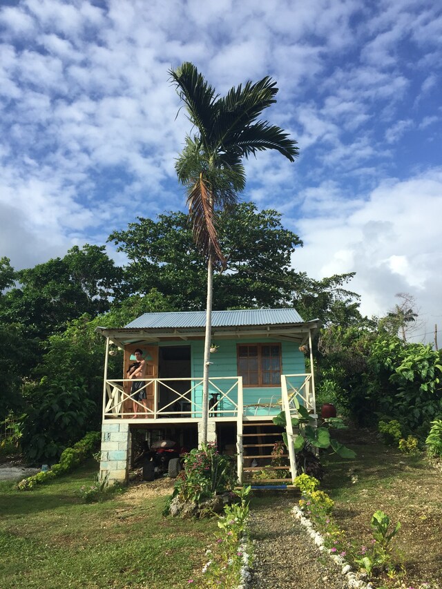 Jamaica, Scarlett Carlos Clarke 13