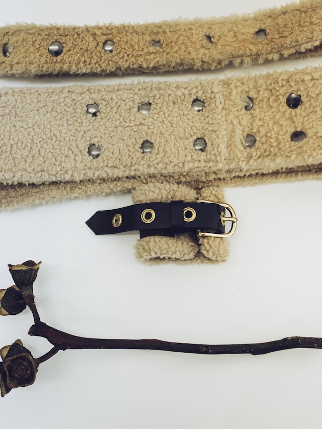 Vejas AW16 16